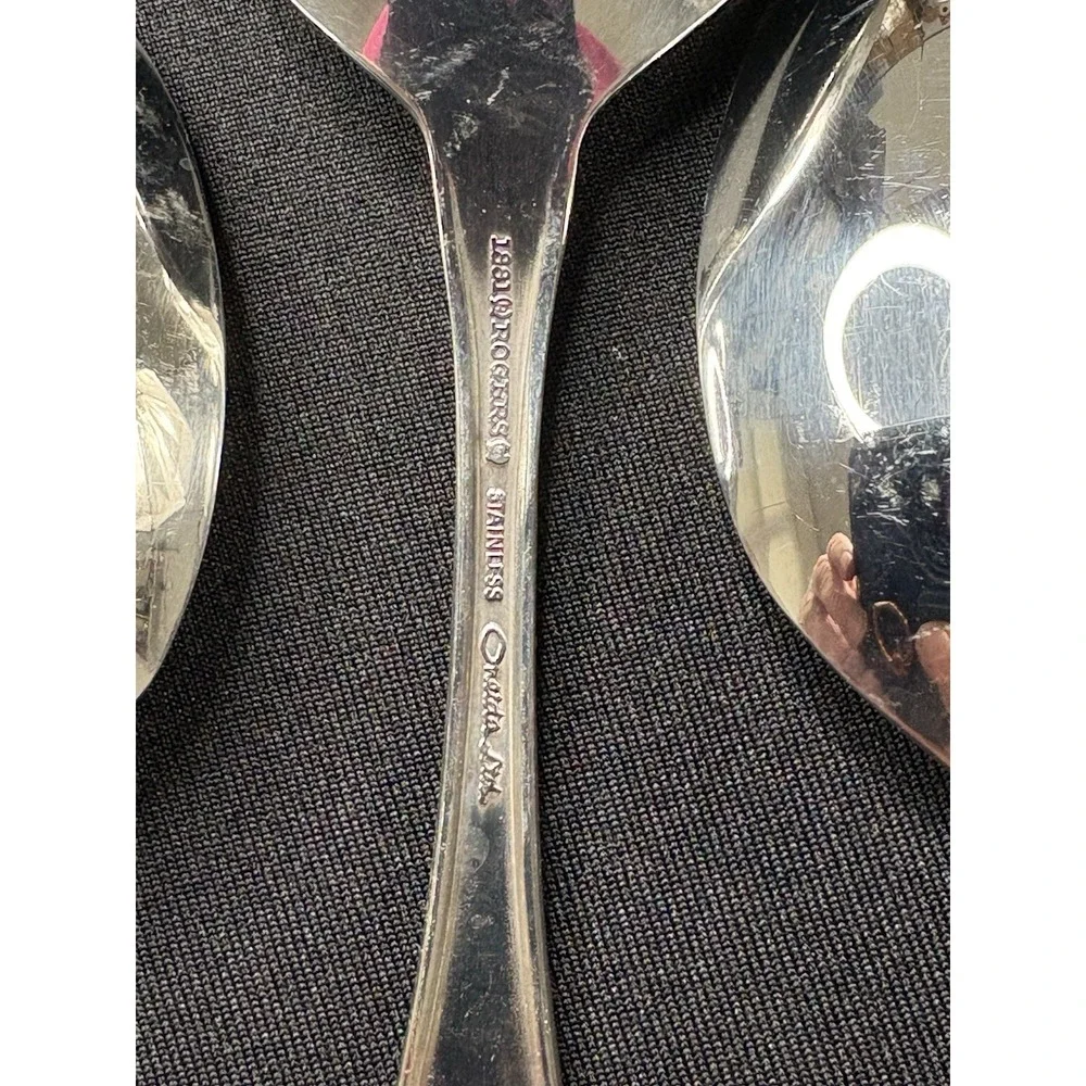 Oneida 1881 Rogers TWILIGHT Burnished Stainless Teaspoon Tablespoon Lot 13